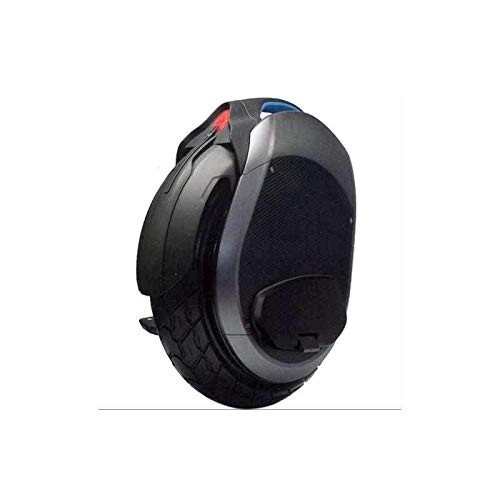 Ninebot Z10 E-Einrad